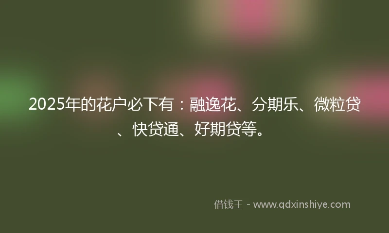 2025年的花户必下有：融逸花、分期乐、微粒贷、快贷通、好期贷等。