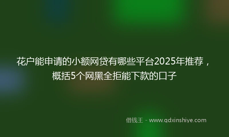 花户能申请的小额网贷有哪些平台2025年推荐，概括5个网黑全拒能下款的口子