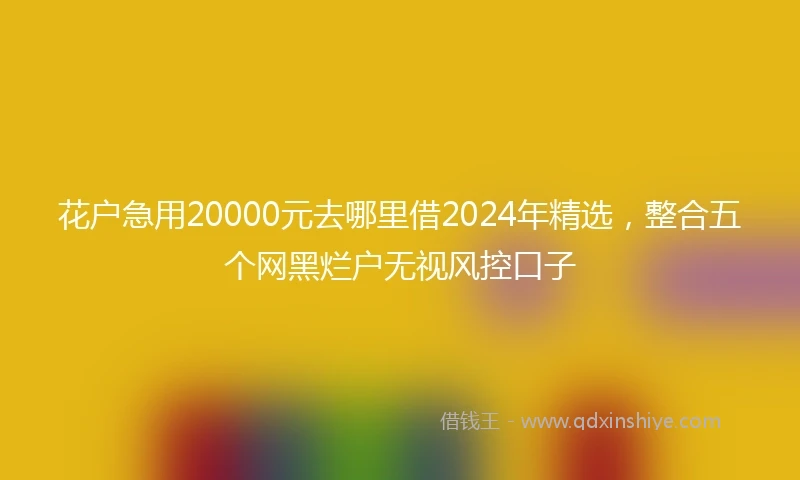 花户急用20000元去哪里借2024年精选，整合五个网黑烂户无视风控口子