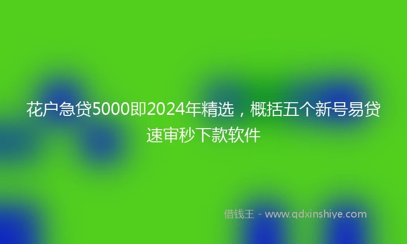 花户急贷5000即2024年精选，概括五个新号易贷速审秒下款软件