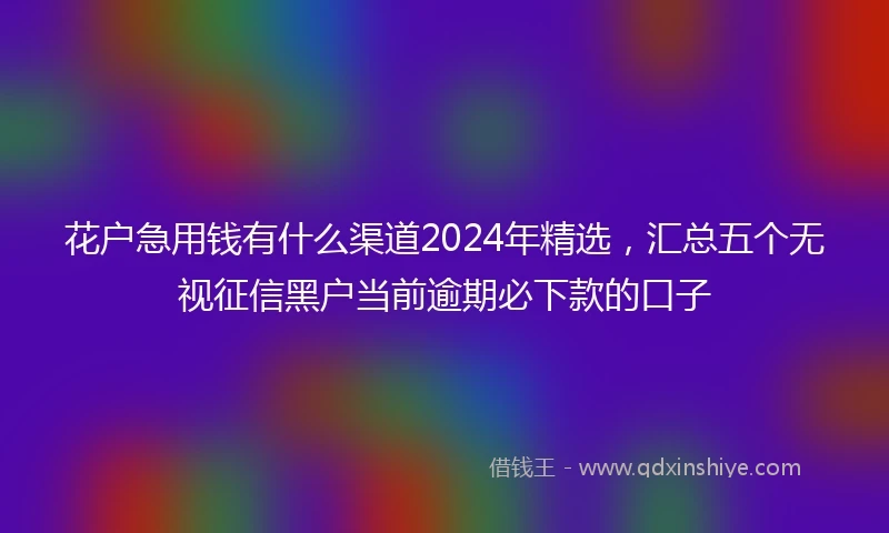 花户急用钱有什么渠道2024年精选，汇总五个无视征信黑户当前逾期必下款的口子