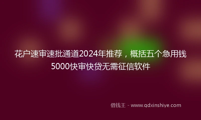 花户速审速批通道2024年推荐，概括五个急用钱5000快审快贷无需征信软件