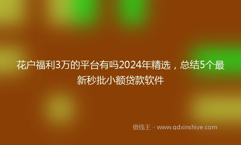 花户福利3万的平台有吗2024年精选，总结5个最新秒批小额贷款软件