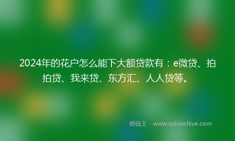 2024年的花户怎么能下大额贷款有：e微贷、拍拍贷、我来贷、东方汇、人人贷等。