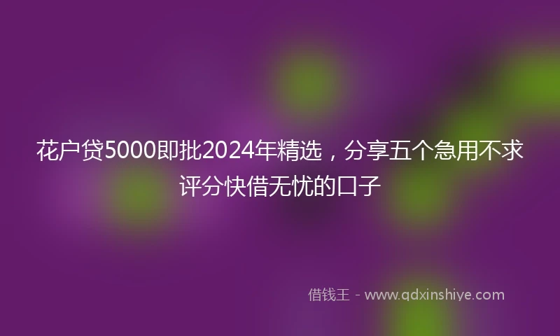 花户贷5000即批2024年精选，分享五个急用不求评分快借无忧的口子