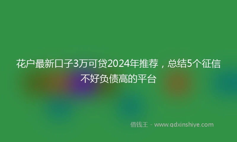 花户最新口子3万可贷2024年推荐，总结5个征信不好负债高的平台