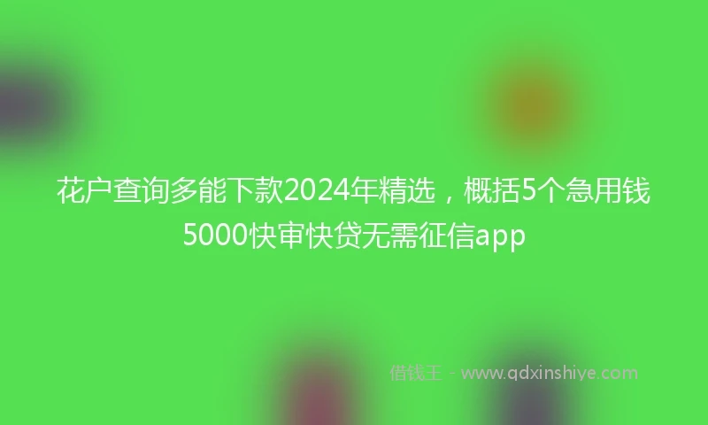 花户查询多能下款2024年精选，概括5个急用钱5000快审快贷无需征信app