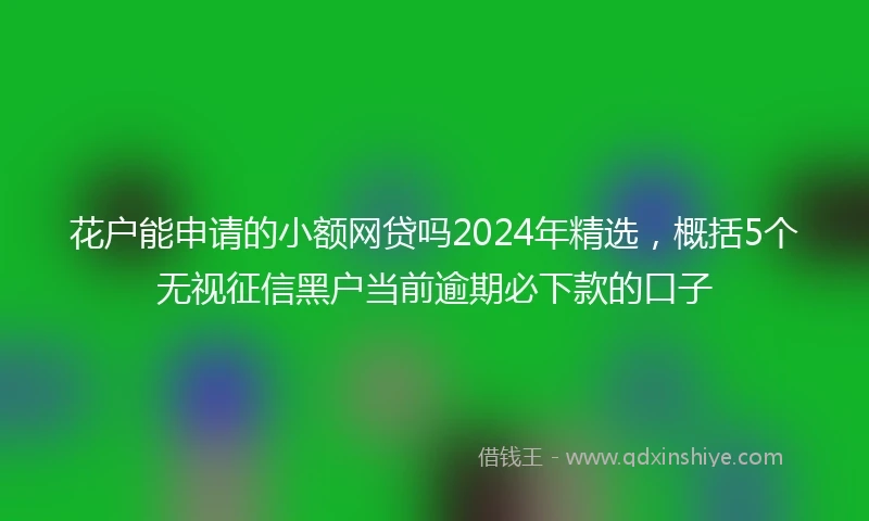 花户能申请的小额网贷吗2024年精选，概括5个无视征信黑户当前逾期必下款的口子