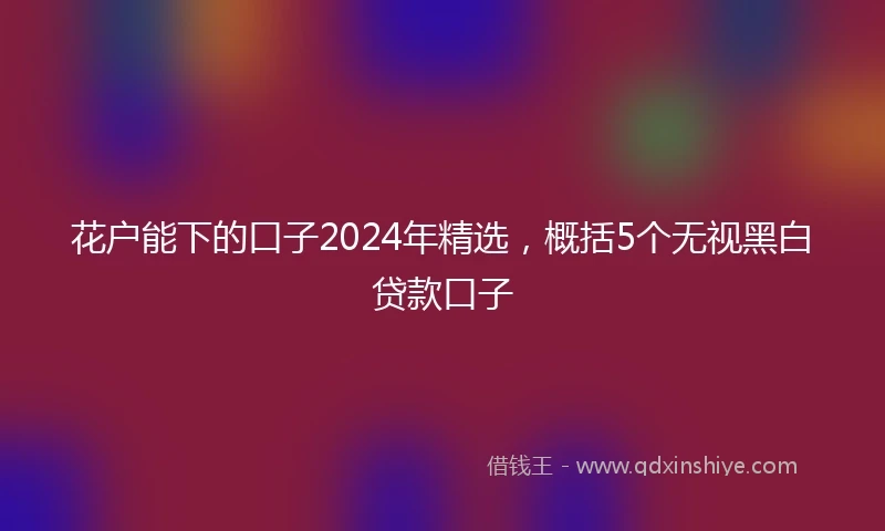 花户能下的口子2024年精选，概括5个无视黑白贷款口子