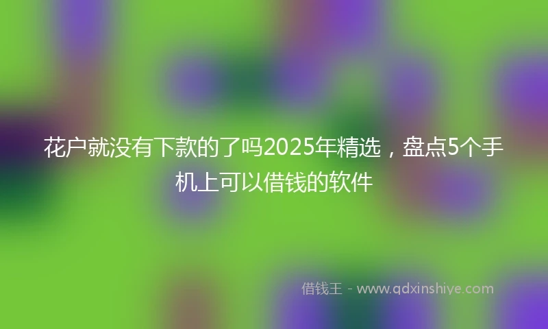 花户就没有下款的了吗2025年精选，盘点5个手机上可以借钱的软件