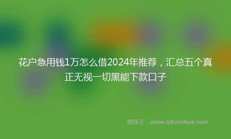 花户急用钱1万怎么借2024年推荐，汇总五个真正无视一切黑能下款口子