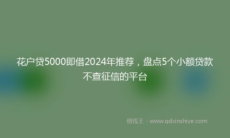 花户贷5000即借2024年推荐，盘点5个小额贷款不查征信的平台