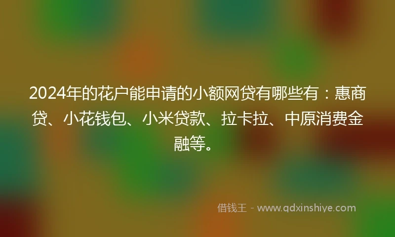 2024年的花户能申请的小额网贷有哪些有：惠商贷、小花钱包、小米贷款、拉卡拉、中原消费金融等。