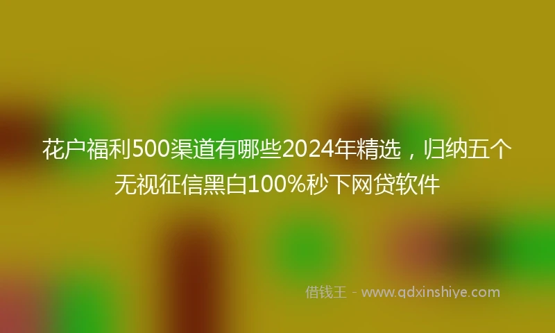 花户福利500渠道有哪些2024年精选，归纳五个无视征信黑白100%秒下网贷软件