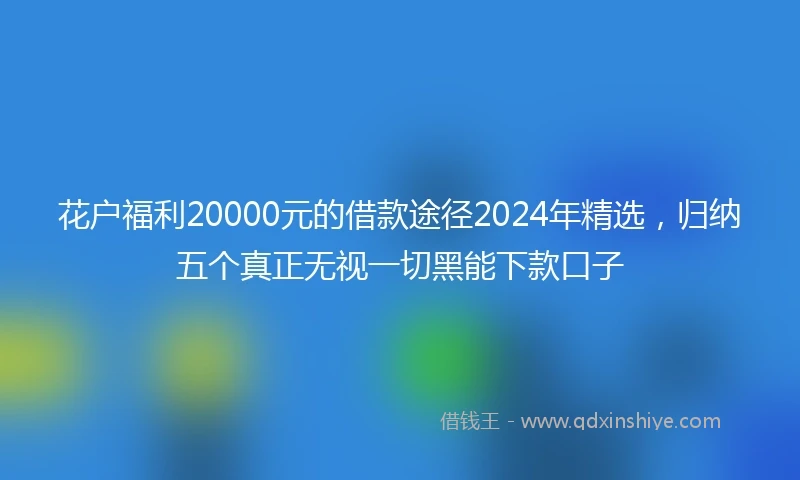 花户福利20000元的借款途径2024年精选，归纳五个真正无视一切黑能下款口子