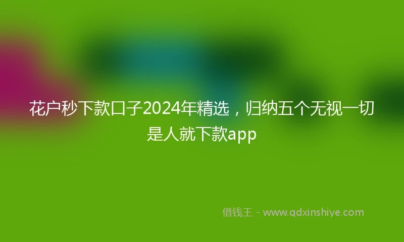 花户秒下款口子2024年精选，归纳五个无视一切是人就下款app