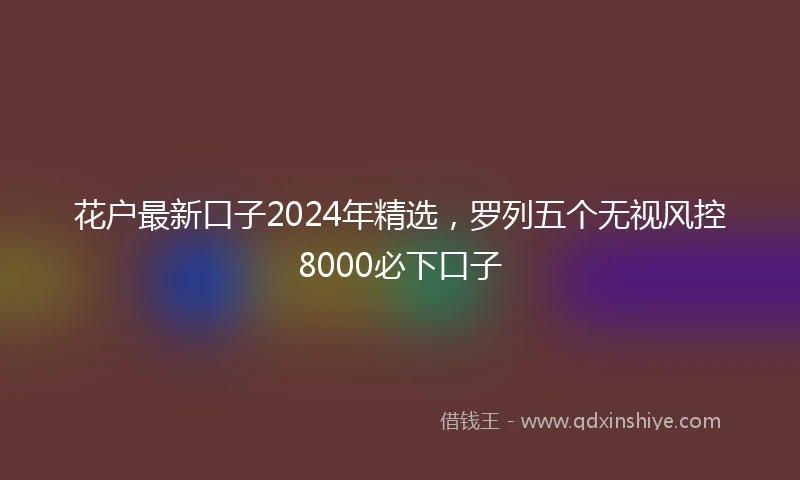 花户最新口子2024年精选，罗列五个无视风控8000必下口子