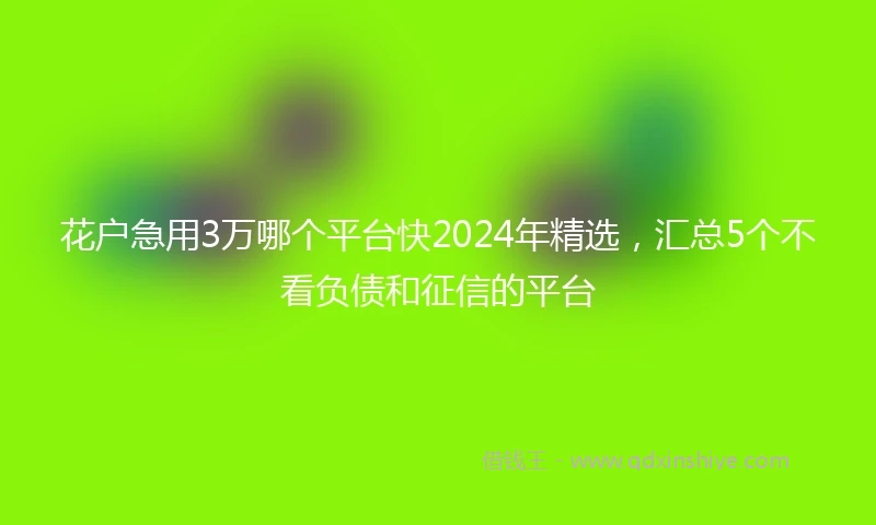 花户急用3万哪个平台快2024年精选,汇总5个不看负债和征信的平台