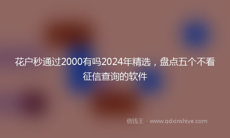 花户秒通过2000有吗2024年精选，盘点五个不看征信查询的软件