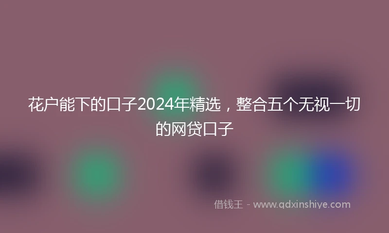 花户能下的口子2024年精选，整合五个无视一切的网贷口子