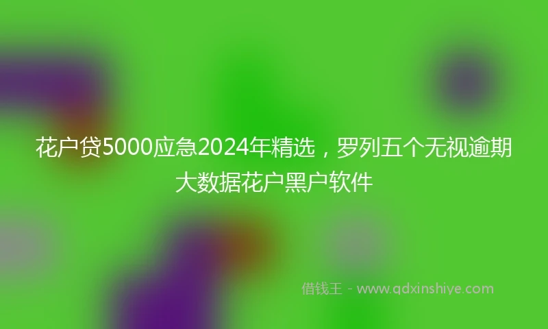 花户贷5000应急2024年精选，罗列五个无视逾期大数据花户黑户软件