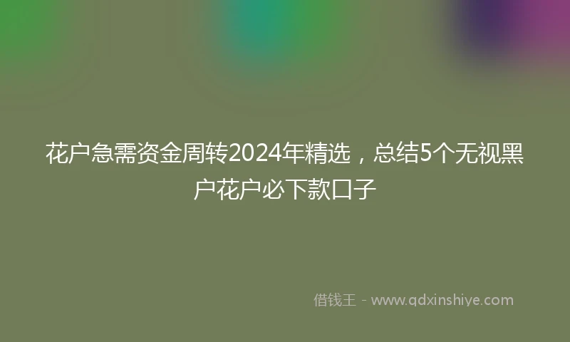 花户急需资金周转2024年精选，总结5个无视黑户花户必下款口子