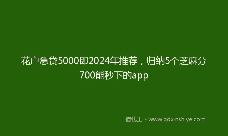 花户急贷5000即2024年推荐，归纳5个芝麻分700能秒下的app