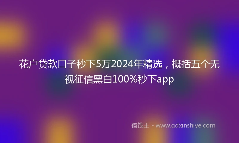 花户贷款口子秒下5万2024年精选，概括五个无视征信黑白100%秒下app