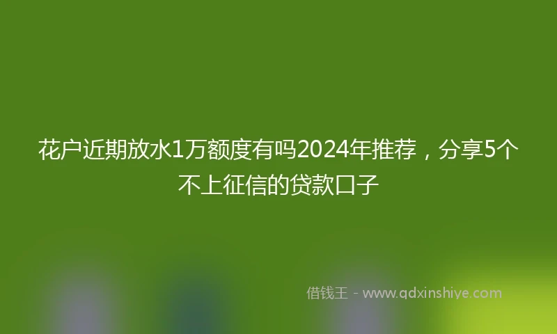 花户近期放水1万额度有吗2024年推荐，分享5个不上征信的贷款口子