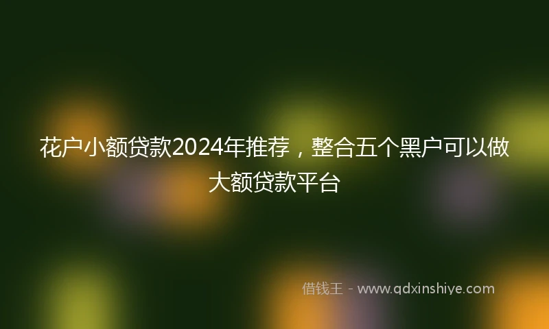 花户小额贷款2024年推荐，整合五个黑户可以做大额贷款平台