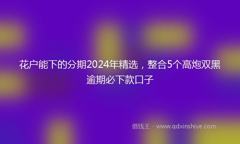花户能下的分期2024年精选，整合5个高炮双黑逾期必下款口子