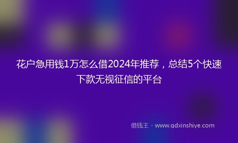 花户急用钱1万怎么借2024年推荐，总结5个快速下款无视征信的平台