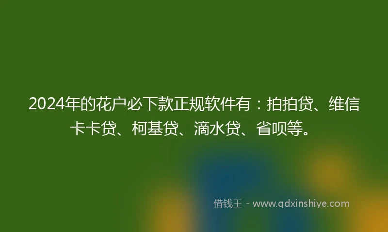 2024年的花户必下款正规软件有：拍拍贷、维信卡卡贷、柯基贷、滴水贷、省呗等。