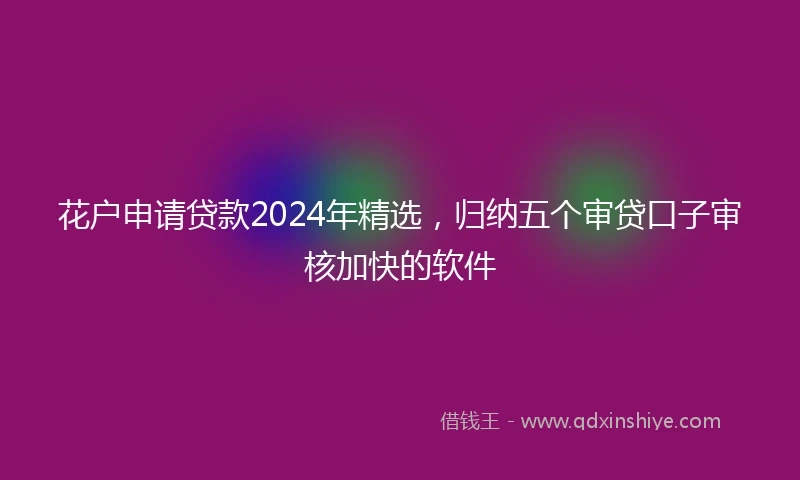 花户申请贷款2024年精选，归纳五个审贷口子审核加快的软件