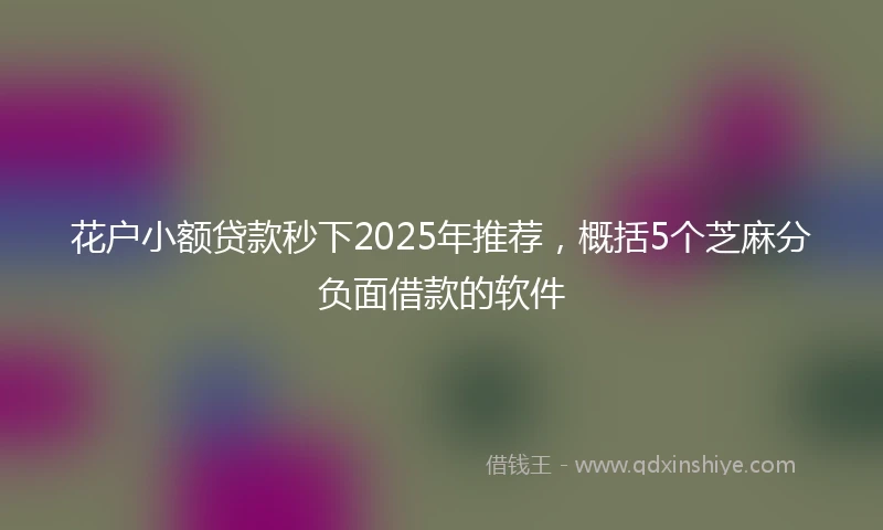 花户小额贷款秒下2025年推荐，概括5个芝麻分负面借款的软件