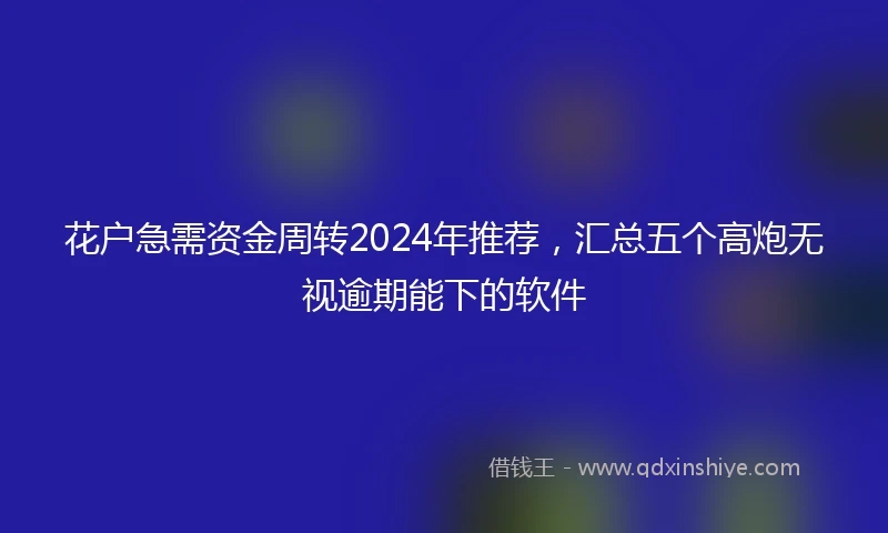 花户急需资金周转2024年推荐，汇总五个高炮无视逾期能下的软件