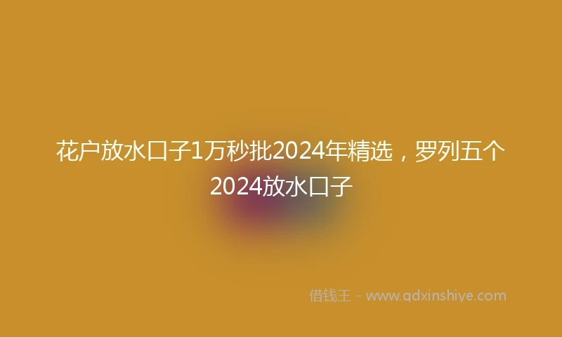 花户放水口子1万秒批2024年精选，罗列五个2024放水口子
