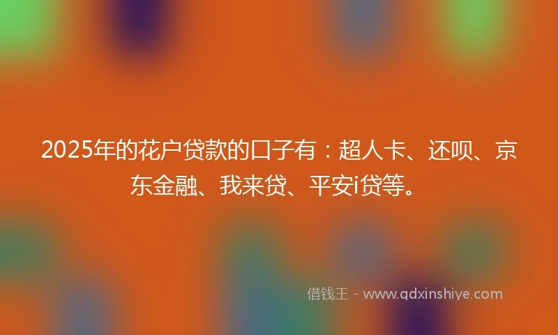 2025年的花户贷款的口子有：超人卡、还呗、京东金融、我来贷、平安i贷等。