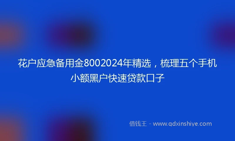 花户应急备用金8002024年精选，梳理五个手机小额黑户快速贷款口子