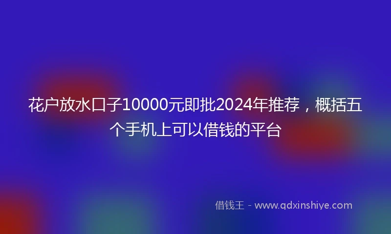 花户放水口子10000元即批2024年推荐，概括五个手机上可以借钱的平台