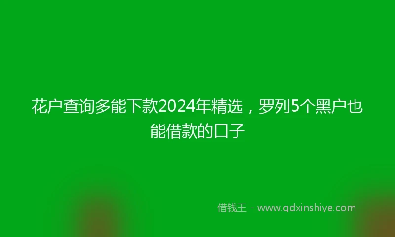 花户查询多能下款2024年精选，罗列5个黑户也能借款的口子