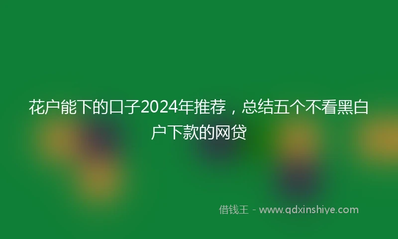 花户能下的口子2024年推荐，总结五个不看黑白户下款的网贷