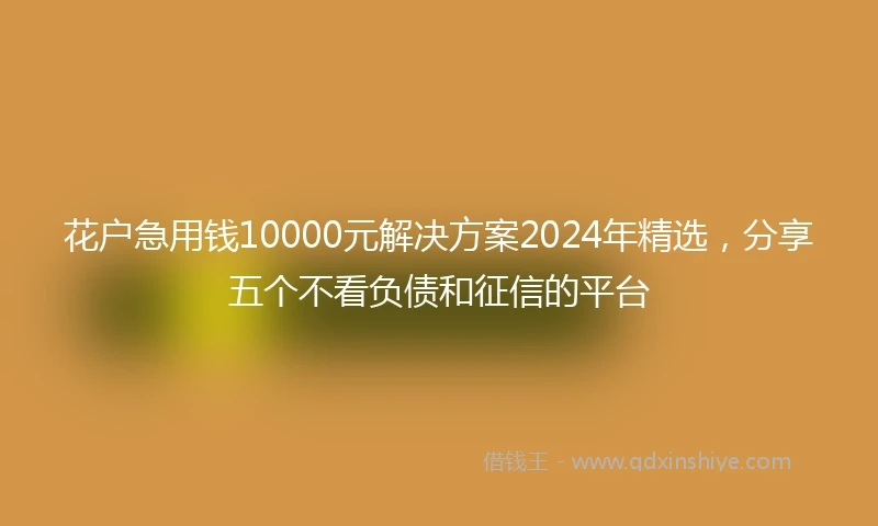 花户急用钱10000元解决方案2024年精选，分享五个不看负债和征信的平台