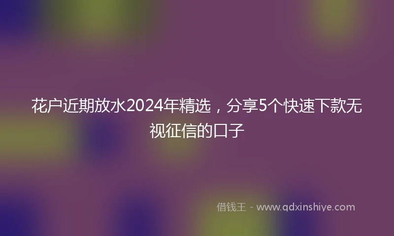 花户近期放水2024年精选，分享5个快速下款无视征信的口子