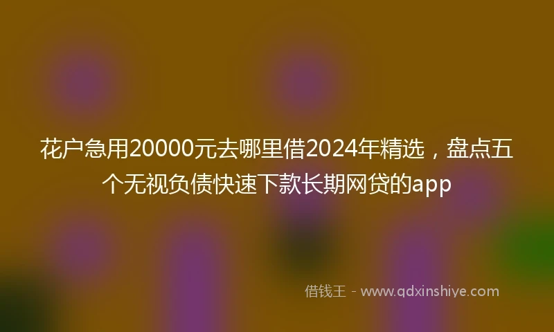 花户急用20000元去哪里借2024年精选，盘点五个无视负债快速下款长期网贷的app