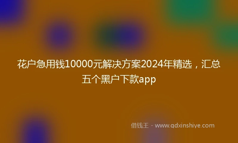 花户急用钱10000元解决方案2024年精选,汇总五个黑户下款app