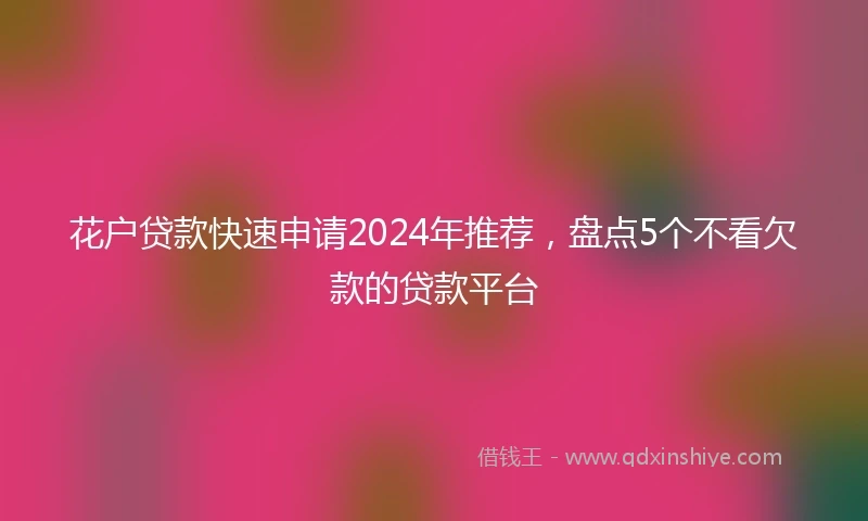 花户贷款快速申请2024年推荐，盘点5个不看欠款的贷款平台