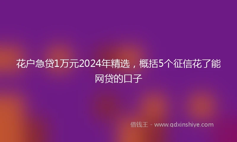花户急贷1万元2024年精选，概括5个征信花了能网贷的口子