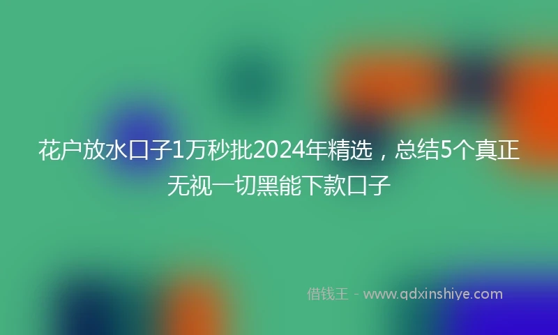 花户放水口子1万秒批2024年精选，总结5个真正无视一切黑能下款口子