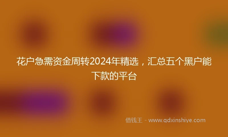 花户急需资金周转2024年精选，汇总五个黑户能下款的平台